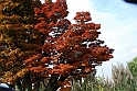 Parco Europa Autunno_019
